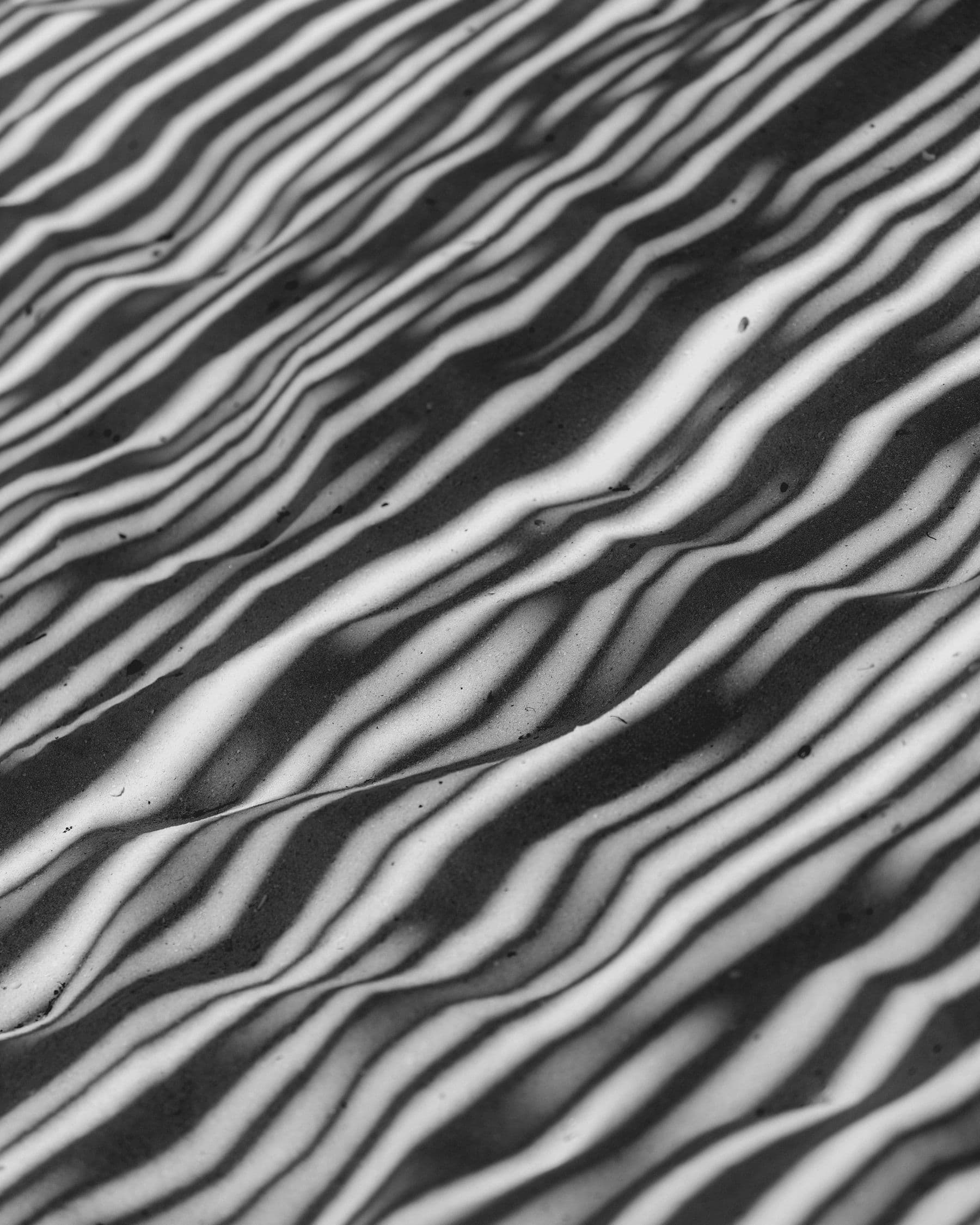 Wind ripples across the sand