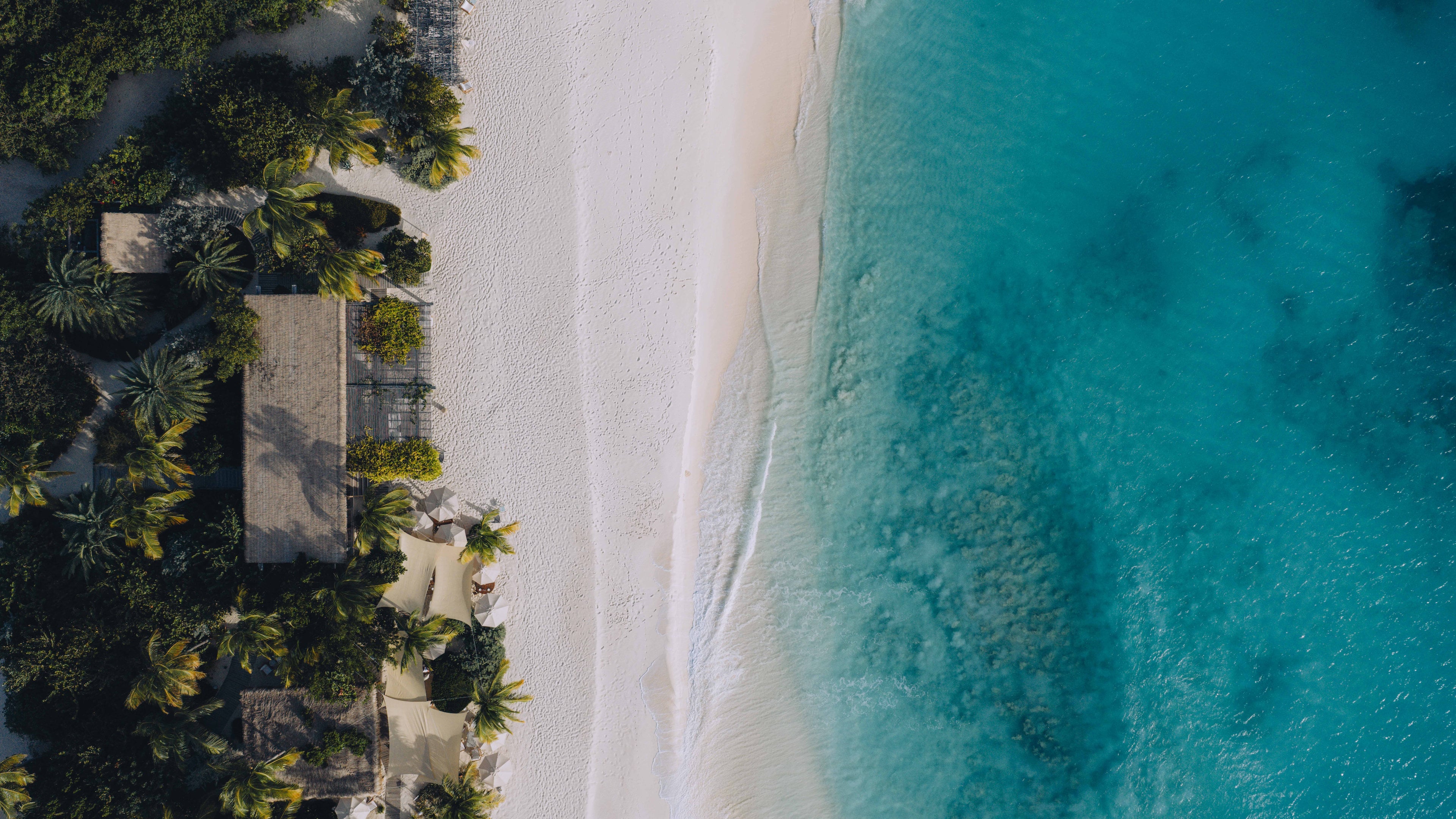 Aerial view of a white-sand beach, turquoise sea and palm-shaded villas